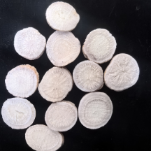 常用中药100味|白芍：养血柔肝的“妇科圣药”