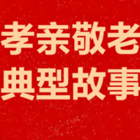 湖南孝亲敬老典型㉝|杨静:十六年深耕养老一线,用“匠心”托起最美夕阳红