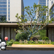 当记忆慢慢褪色,认知症家庭如何走出“一人失能全家失衡”的照护困局