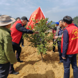 湘西州创新打造“银龄耀湘西”品牌，探索民族地区志愿服务新路径