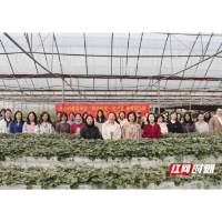 长沙仲裁委员会开展“莓好时光·她力量”三八妇女节主题活动