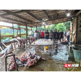 利剑行动!怀化公安联合多部门端掉一处私屠滥宰黑窝点