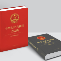 时刻说“典”法｜遛狗不栓绳酿车祸 谁为“爱狗自由”埋单