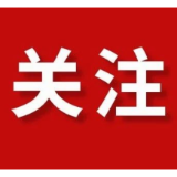 时刻有说法 | 举报同学被打伤，这场校园冲突“谁的锅”？