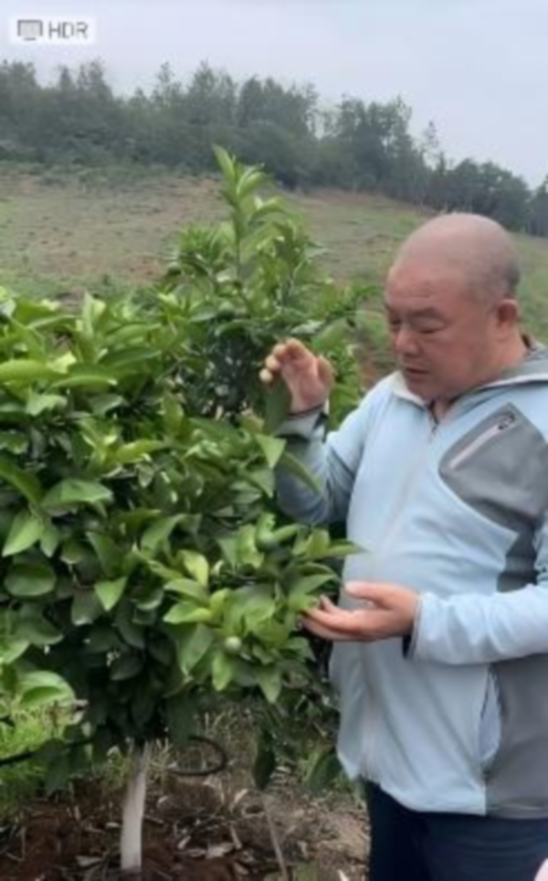 1WPS图片(1)1.jpg