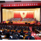 从就业到未来，掌声里的现实关切 | 湖南省政协委员热议政府工作报告