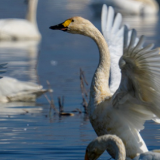 观潮的螃蟹 | 湖南这4起判例何以“走进”联合国