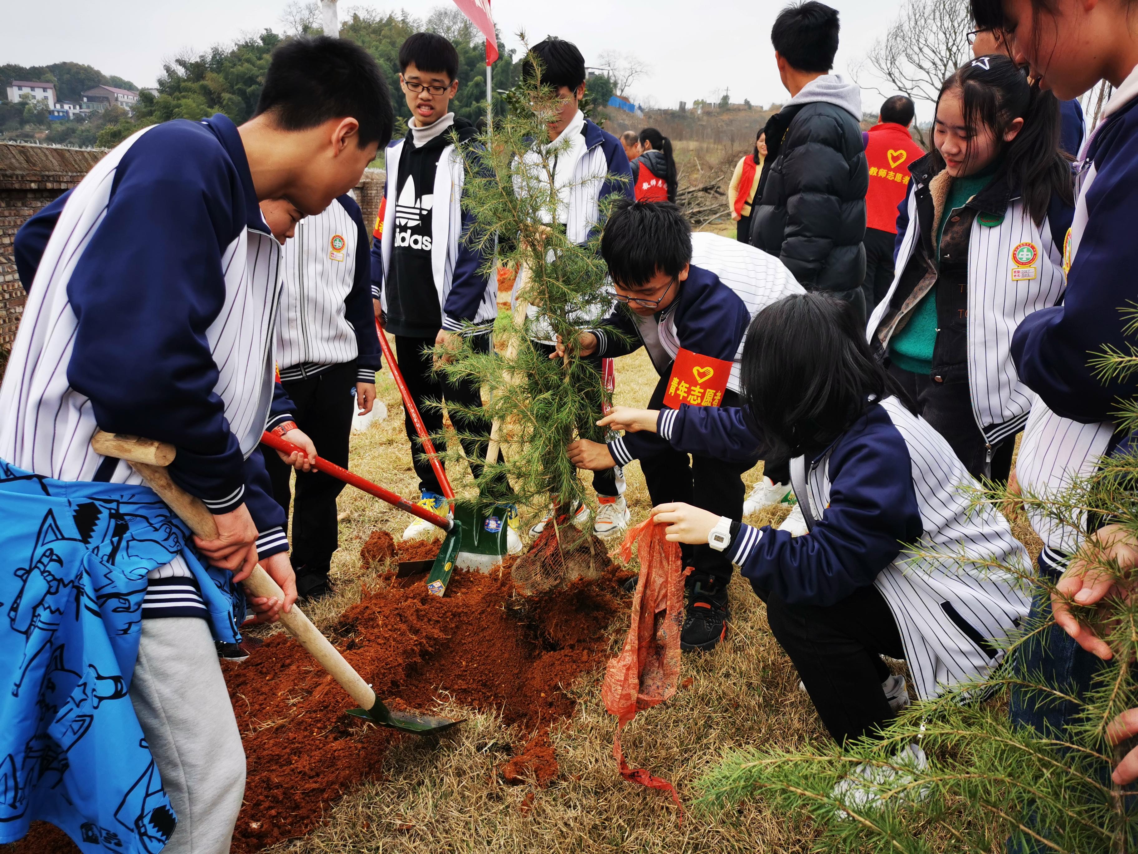 植树节图片真人唯美图片