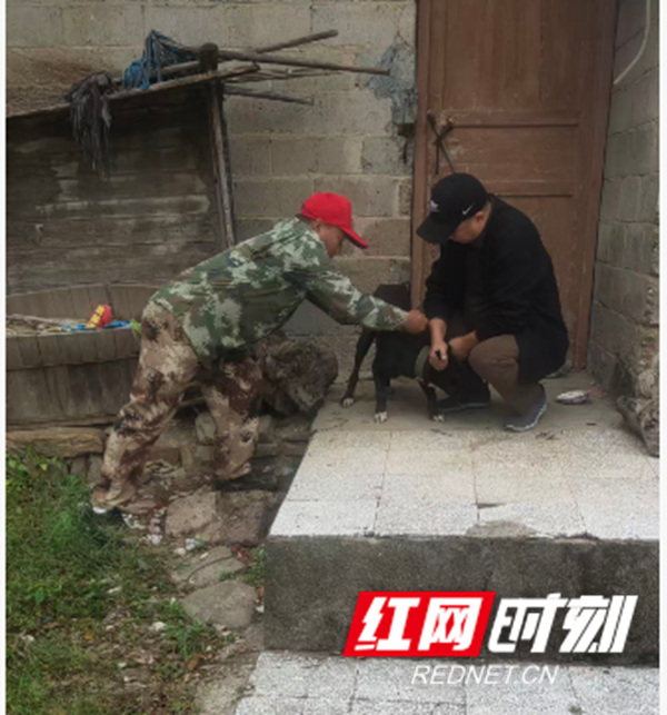 岩泊渡镇：筑牢犬只免疫屏障，守护公共卫生安全2_红网.png