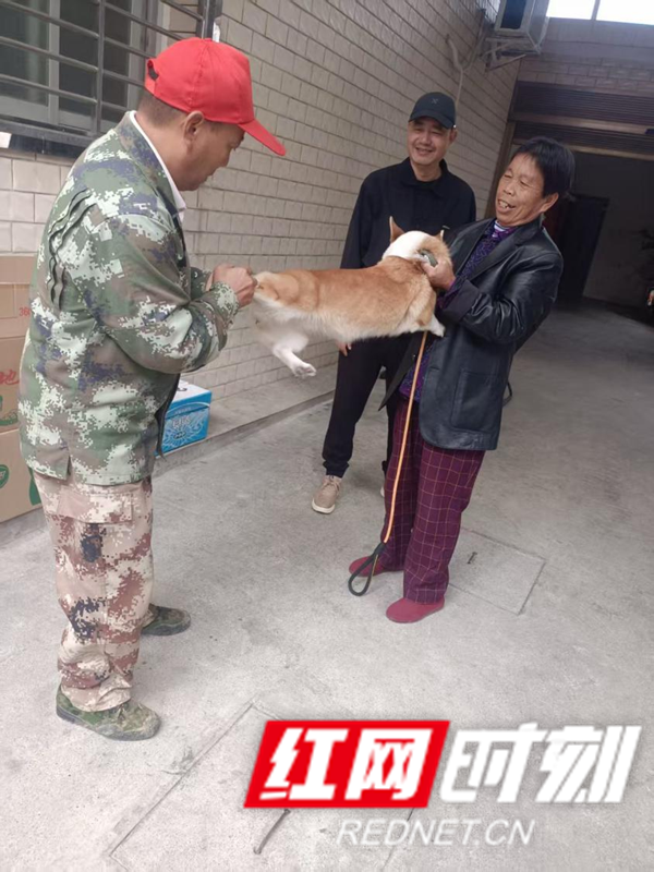 岩泊渡镇：筑牢犬只免疫屏障，守护公共卫生安全1_红网.png