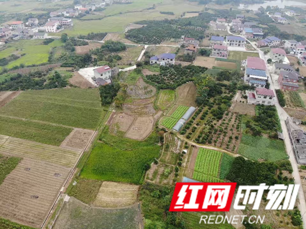 岩泊渡镇：“人防 + 技防”织密秸秆禁烧网守护辖区生态3_慈利_红网.png