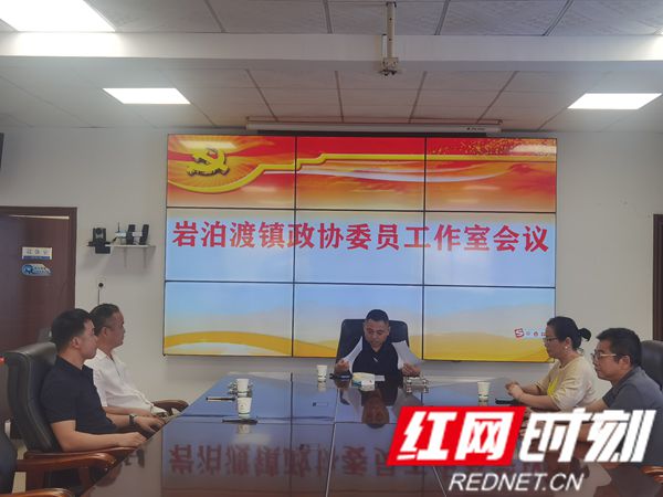 岩泊渡镇政协：一线监督助力秸秆禁烧 共同守护蓝天净土1红网.jpg