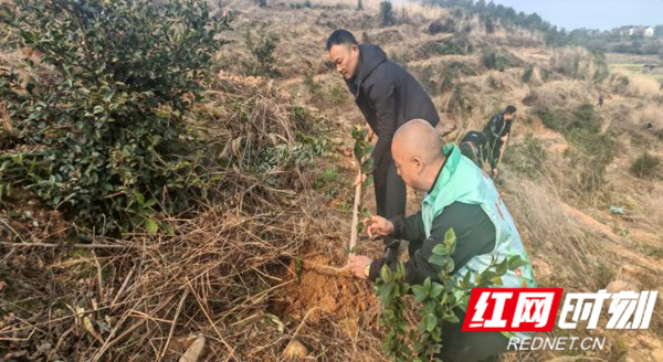 岩泊渡镇：植此青绿映初心，文明实践共春生2_红网.png