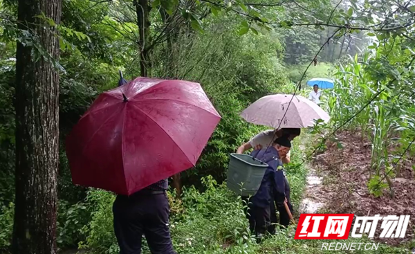 岩泊渡镇:防汛一线践初心 转移群众护民安2_红网.png 岩泊渡镇:防汛一线践初心 转移群众护民安2_红网.png