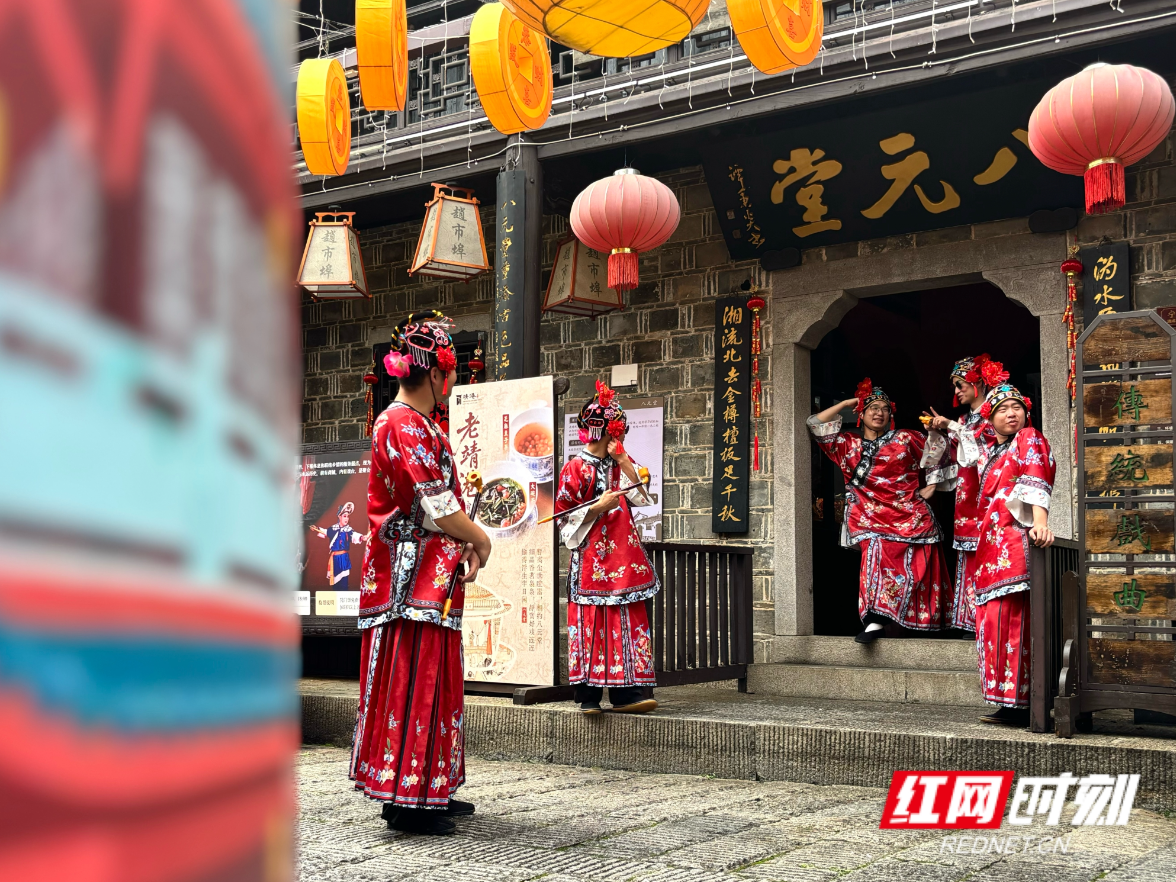 “寻春靖港 望见美好”——民建文旅之家举办摄影采风活动