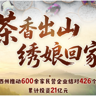 同心印记｜茶出山 人归家