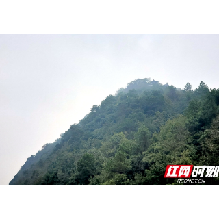 黛色轻寒映烟波 秋雨里的昭山（图）