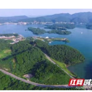 @湘乡人 这份散发着树木清香的倡议书,请查收