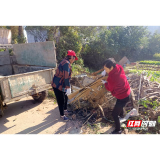 雨湖区和平街道：按下乡村治理“美颜键” 打造人居环境“美画卷”