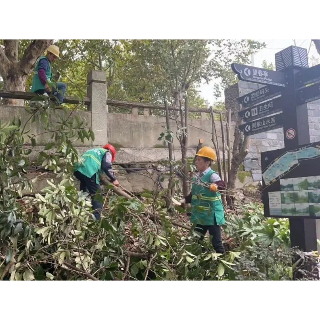 【我为群众办实事】雨湖公园八仙桥，一番修剪改造焕新颜