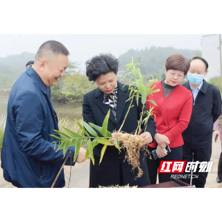 张迎春赴韶山市开展工作调研及党史学习教育联系点走访调研