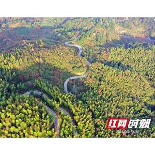航拍丨隔屏“森”呼吸 在湘潭的林海上“氧泳”（湘乡篇）