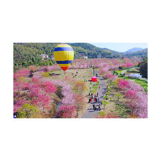 三能合力,岳塘区潜心打造乡村振兴“人才引擎”