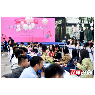 “你我相逢 价值莲城” 湘潭市举办单身青年联谊活动（图）