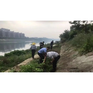 湘乡市：整治河道“菜园子” 打造“水清岸绿”美景
