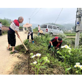 韶山市杨林乡双和村：党员“大比武”扮靓乡村（图）