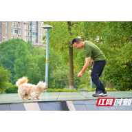 组图 | 湘潭：绿树阴浓夏日长 正是白石好风光