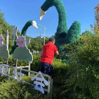 高温“烤”验绿雕花境，湘潭园林全力守护