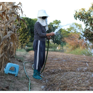 芙蓉国评论 | 旱涝当有百年计