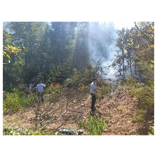 百日行动丨打防结合，乌石派出所全力守护元帅故里平安稳定
