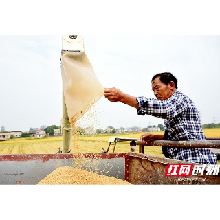 湘潭市多措并举全力抗旱保灌护民生（图）