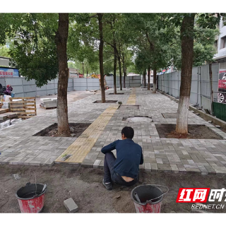 优化营商环境丨湘潭城管立足“小切口” 服务“大民生”