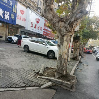 优化营商环境丨湘潭城管园林部门完善绿化基础设施 持续提升绿化品质