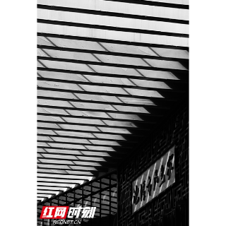 组图丨用“黑白线条”勾勒湘潭市民之家的造型美