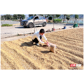 湘潭市“三举措”当好粮食质量安全“守门员”