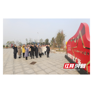 湖南税务省、市、县青年理论学习小组开展联学联建活动