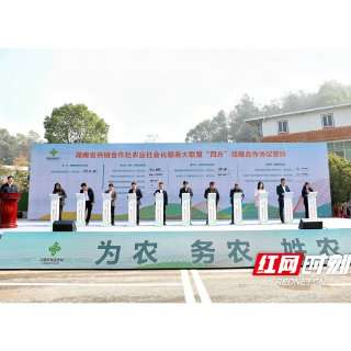 湖南：农业社会化服务大联盟启动 “四方”联动助力乡村振兴