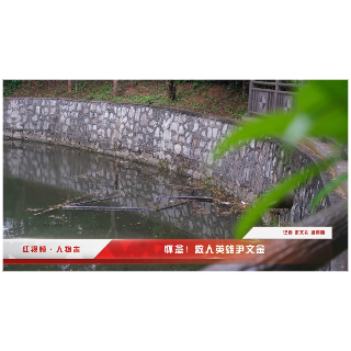 红视频·人物志丨怀念！救人勇士尹文金