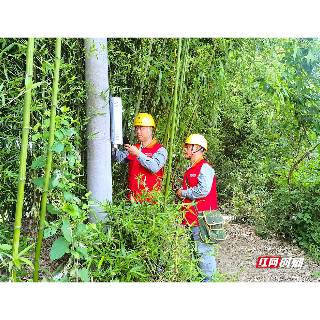 温暖惠及“神经末梢”  国网湘潭供电公司“村网共建”实现服务村民零距离