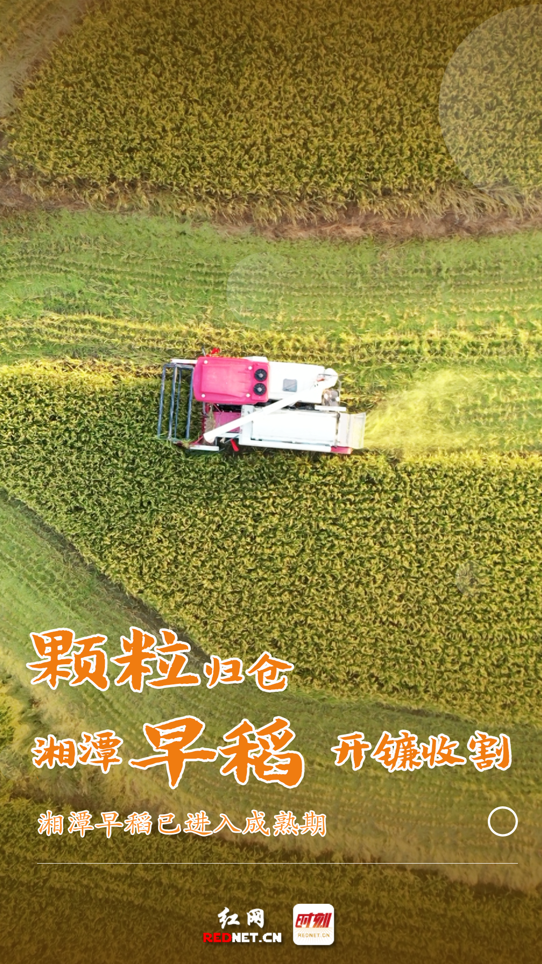 未标题-2.png