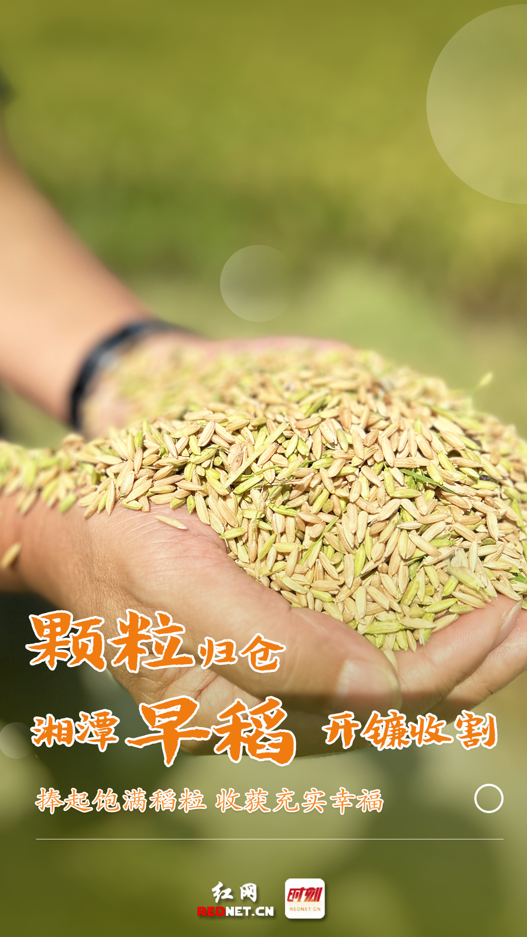 未标题-6.png