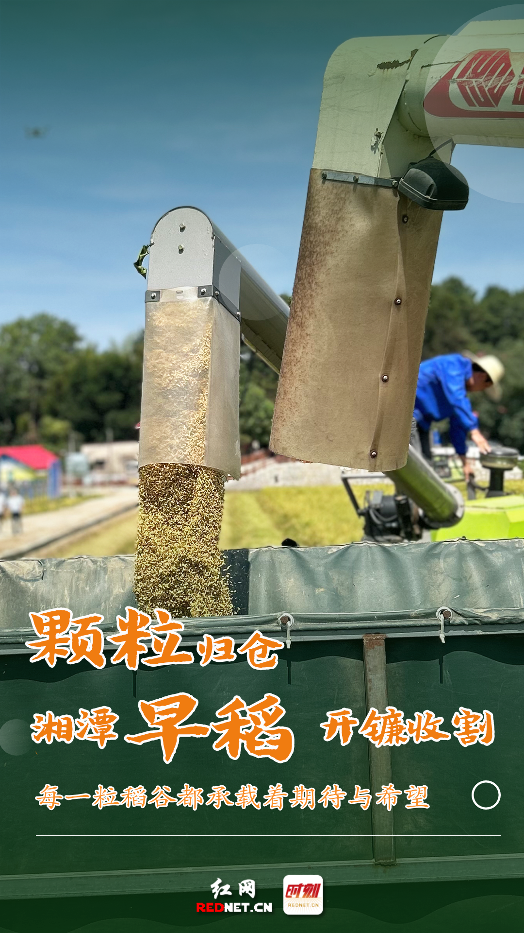 未标题-5.png