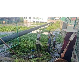 雨湖区：清理花园河水葫芦 确保河道通畅 水生态良好