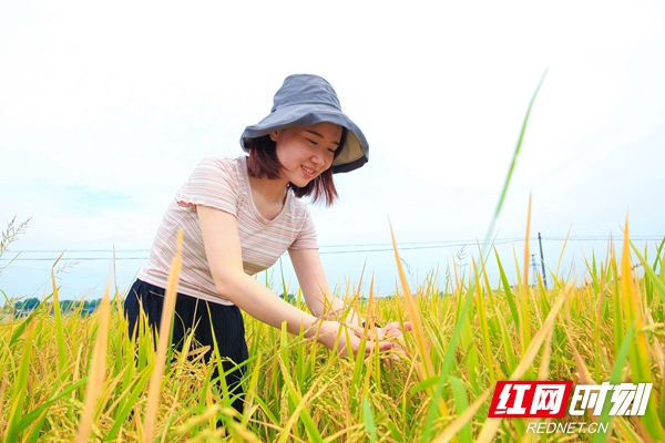 返乡创业典型丨李梅捷：90后女硕士将青春汗水洒在田间地头