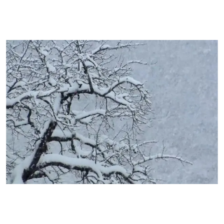 湖南启动低温雨雪冰冻灾害Ⅳ级应急响应