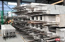 好房子工厂造 湘潭农村刮起重钢别墅“装配风”